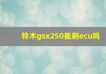 铃木gsx250能刷ecu吗