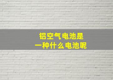 铝空气电池是一种什么电池呢