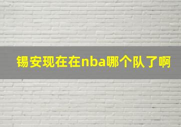 锡安现在在nba哪个队了啊