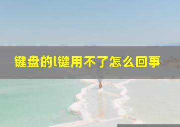 键盘的l键用不了怎么回事