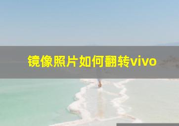 镜像照片如何翻转vivo