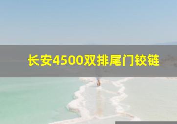 长安4500双排尾门铰链