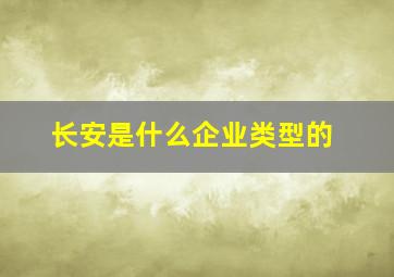 长安是什么企业类型的