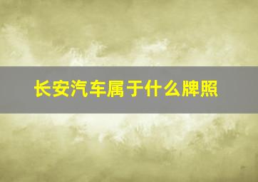 长安汽车属于什么牌照