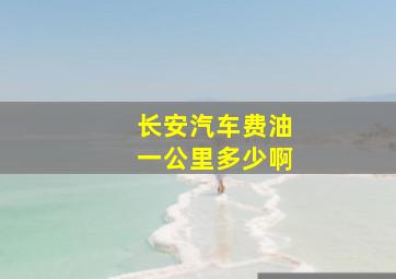 长安汽车费油一公里多少啊