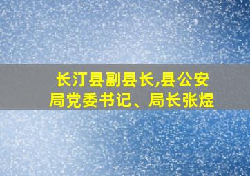 长汀县副县长,县公安局党委书记、局长张煜