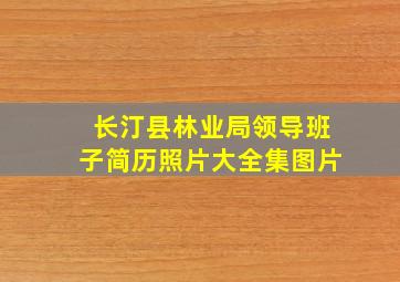 长汀县林业局领导班子简历照片大全集图片