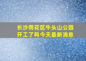 长沙雨花区牛头山公园开工了吗今天最新消息