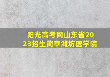 阳光高考网山东省2023招生简章潍坊医学院