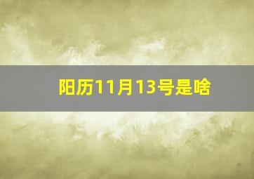 阳历11月13号是啥