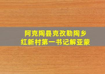 阿克陶县克孜勒陶乡红新村第一书记解亚蒙