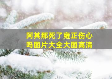 阿其那死了雍正伤心吗图片大全大图高清