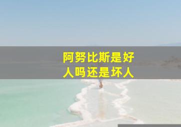 阿努比斯是好人吗还是坏人