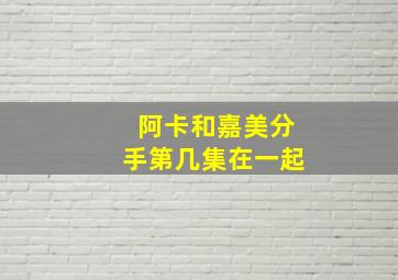 阿卡和嘉美分手第几集在一起