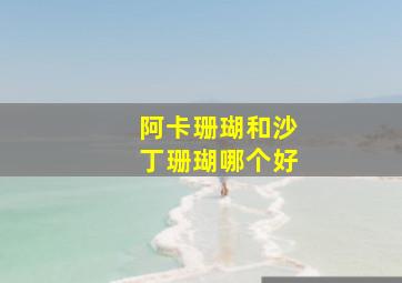 阿卡珊瑚和沙丁珊瑚哪个好