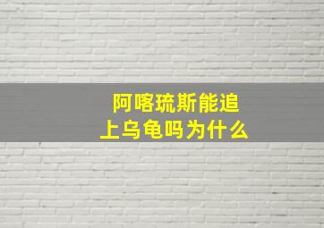 阿喀琉斯能追上乌龟吗为什么