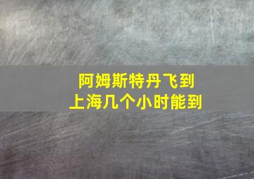 阿姆斯特丹飞到上海几个小时能到