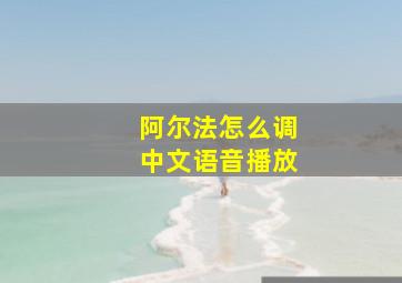 阿尔法怎么调中文语音播放