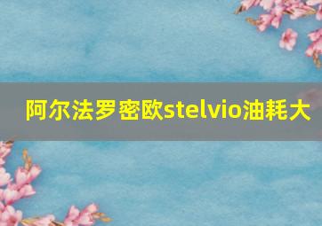 阿尔法罗密欧stelvio油耗大