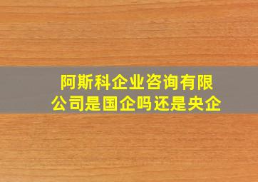 阿斯科企业咨询有限公司是国企吗还是央企