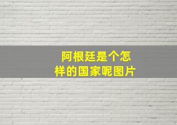 阿根廷是个怎样的国家呢图片