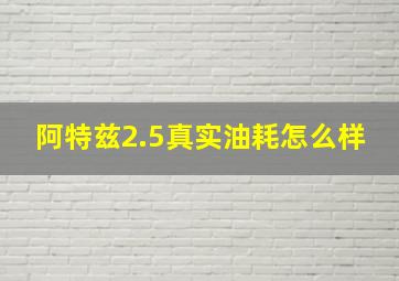 阿特兹2.5真实油耗怎么样