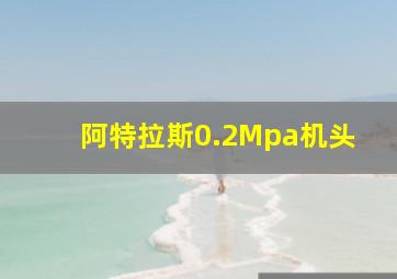 阿特拉斯0.2Mpa机头