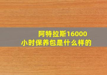 阿特拉斯16000小时保养包是什么样的