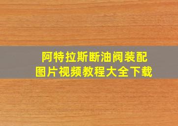 阿特拉斯断油阀装配图片视频教程大全下载