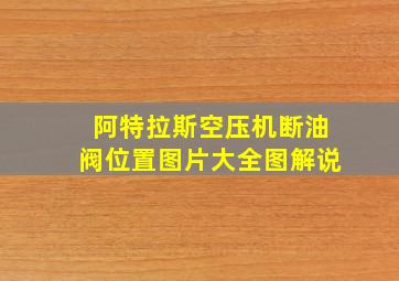 阿特拉斯空压机断油阀位置图片大全图解说