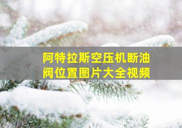 阿特拉斯空压机断油阀位置图片大全视频