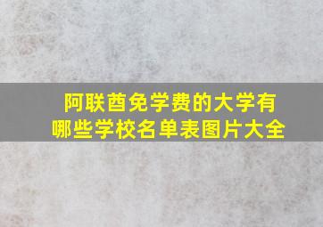 阿联酋免学费的大学有哪些学校名单表图片大全