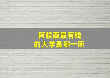 阿联酋最有钱的大学是哪一所