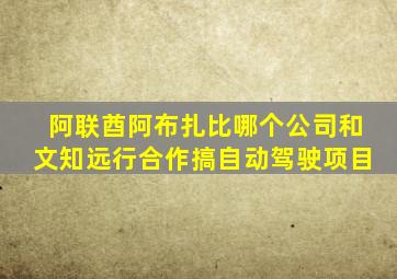 阿联酋阿布扎比哪个公司和文知远行合作搞自动驾驶项目