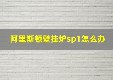 阿里斯顿壁挂炉sp1怎么办