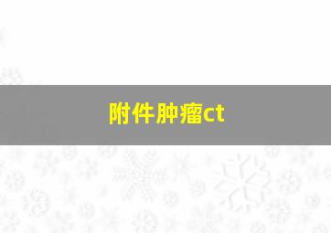 附件肿瘤ct