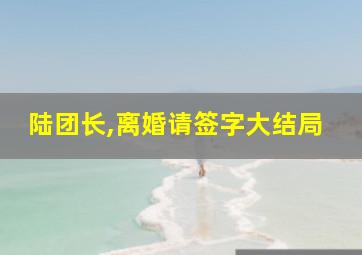 陆团长,离婚请签字大结局