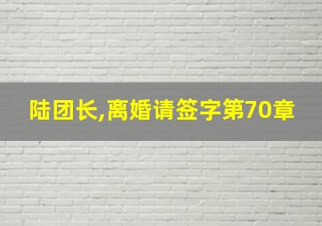 陆团长,离婚请签字第70章