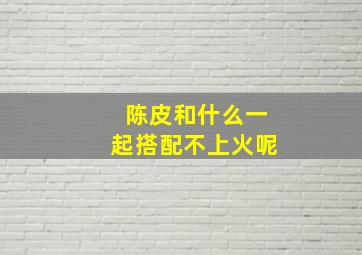 陈皮和什么一起搭配不上火呢