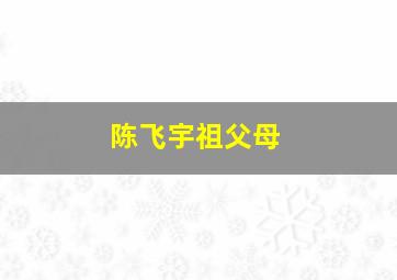 陈飞宇祖父母