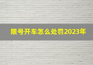 限号开车怎么处罚2023年