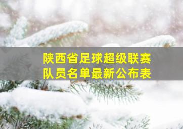 陕西省足球超级联赛队员名单最新公布表