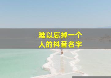 难以忘掉一个人的抖音名字