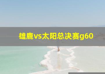 雄鹿vs太阳总决赛g60