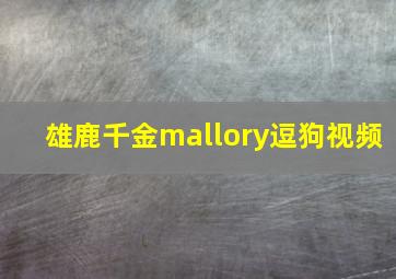 雄鹿千金mallory逗狗视频