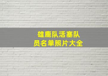 雄鹿队活塞队员名单照片大全