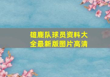 雄鹿队球员资料大全最新版图片高清