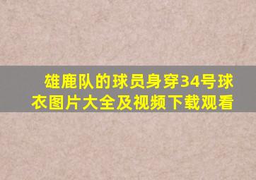 雄鹿队的球员身穿34号球衣图片大全及视频下载观看