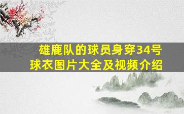 雄鹿队的球员身穿34号球衣图片大全及视频介绍