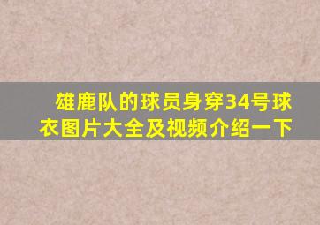 雄鹿队的球员身穿34号球衣图片大全及视频介绍一下